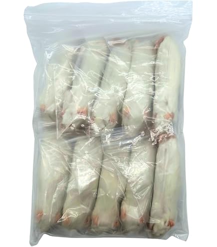 Amazon | 国産冷凍ラット (ベビー L 16~20g 5匹入り) | 冷凍ラットくん